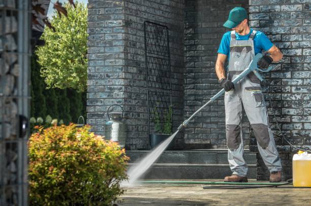 Best Graffiti Removal  in Shady Hills, FL