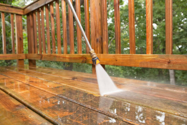 Best House Exterior Washing  in Shady Hills, FL